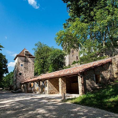 Chateau De Marigna Marigna-sur-Valouse Exterior photo