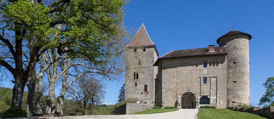 Chateau De Marigna Marigna-sur-Valouse Exterior photo
