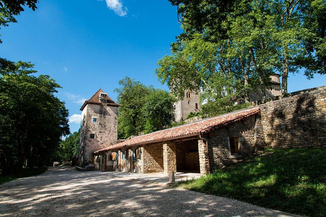 Chateau De Marigna Marigna-sur-Valouse Exterior photo