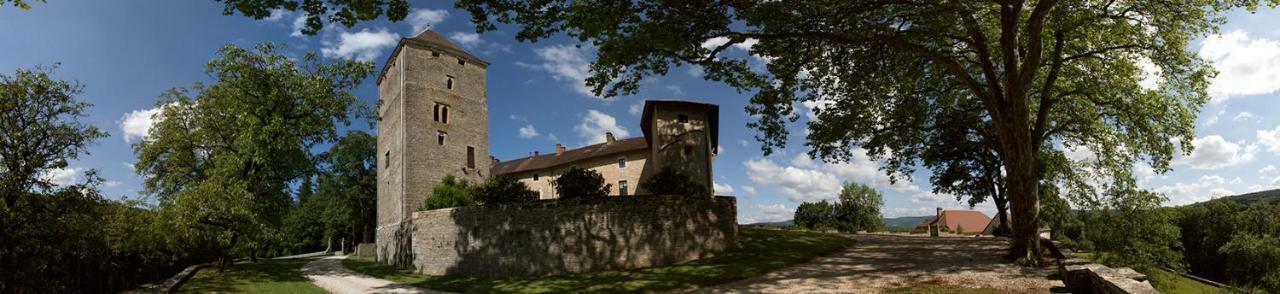 Chateau De Marigna Marigna-sur-Valouse Exterior photo