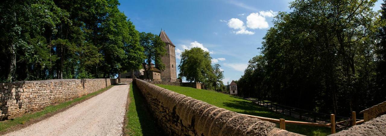 Chateau De Marigna Marigna-sur-Valouse Exterior photo