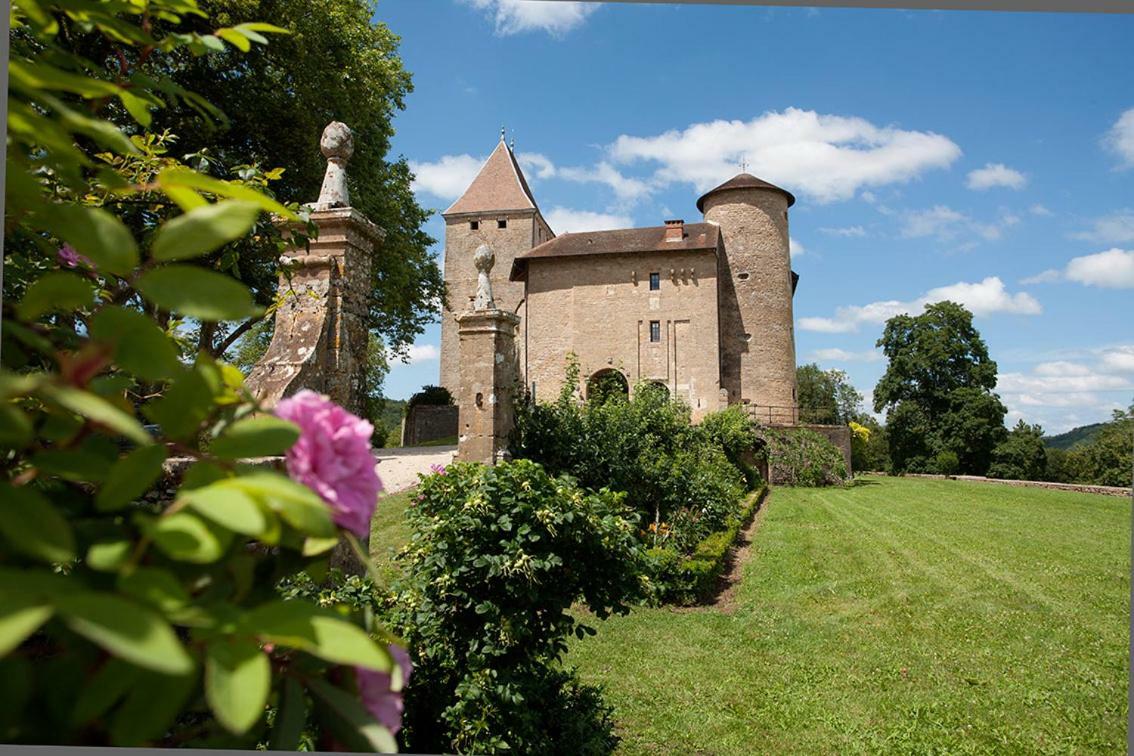 Chateau De Marigna Marigna-sur-Valouse Exterior photo