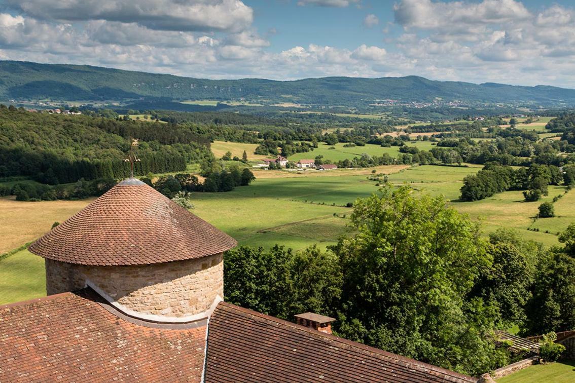 Chateau De Marigna Marigna-sur-Valouse Exterior photo