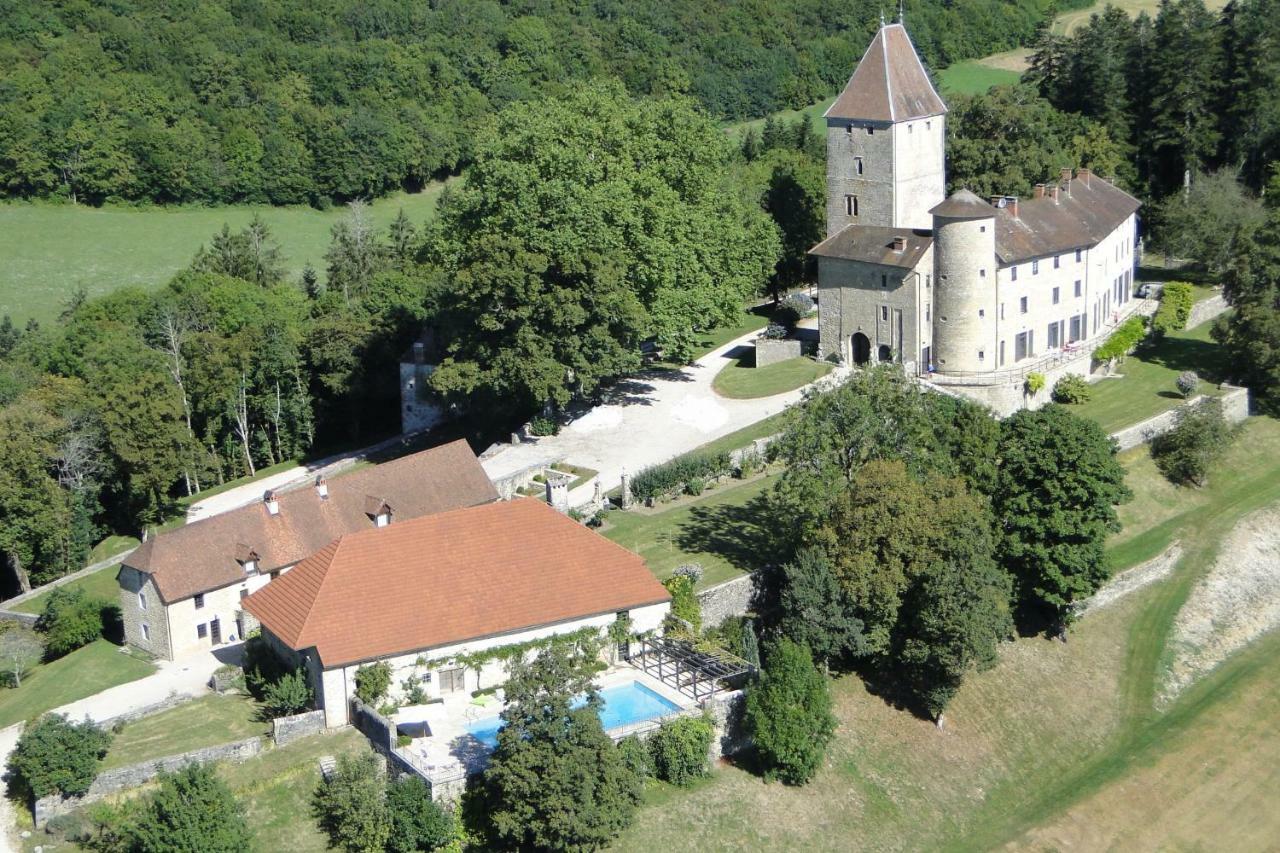 Chateau De Marigna Marigna-sur-Valouse Exterior photo